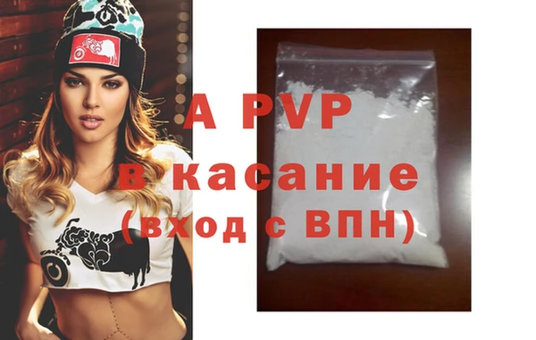 эйфоретик Кирсанов