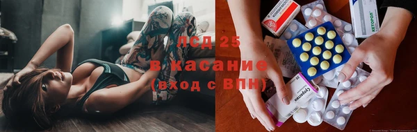 эйфоретик Дмитриев