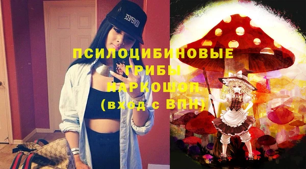 эйфоретик Дмитриев