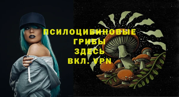 эйфоретик Дмитриев