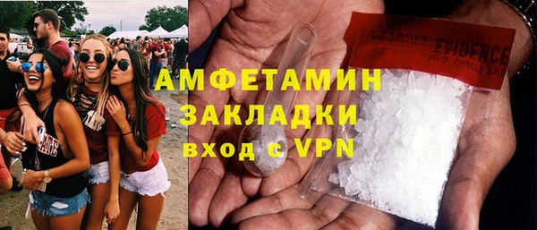 индика Чегем
