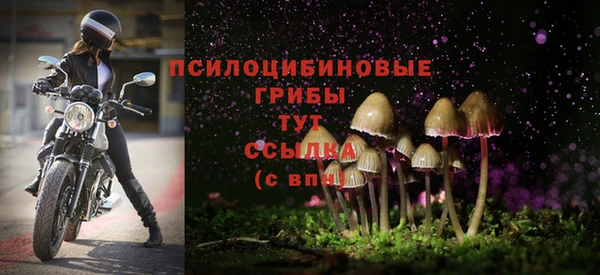 МДМА Дмитровск