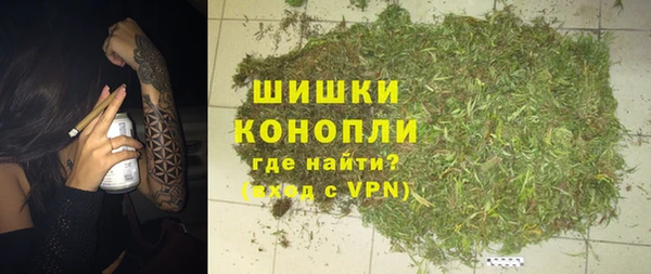 эйфоретик Дмитриев