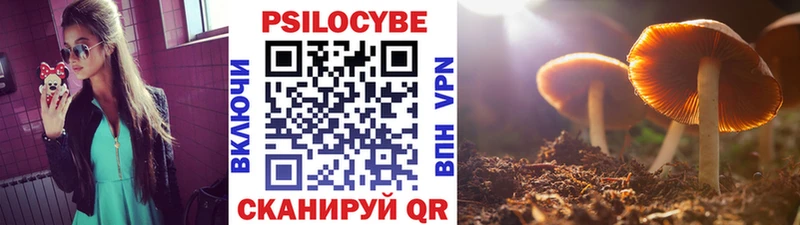 Галлюциногенные грибы Cubensis  закладки  Обоянь 